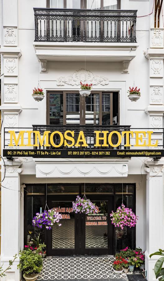 Mimosa Hotel Sapa Exterior foto